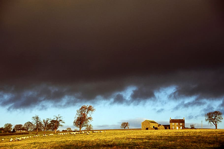 Yorkshire, England, Clouds, Countryside, landscape, sky, english, agriculture, farming, farmland
