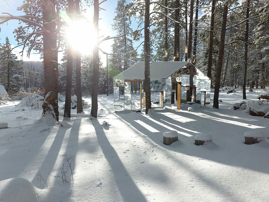 invisible barn, artwork, forest, optical illusion, snow, cold temperature, sunlight, winter, tree, nature