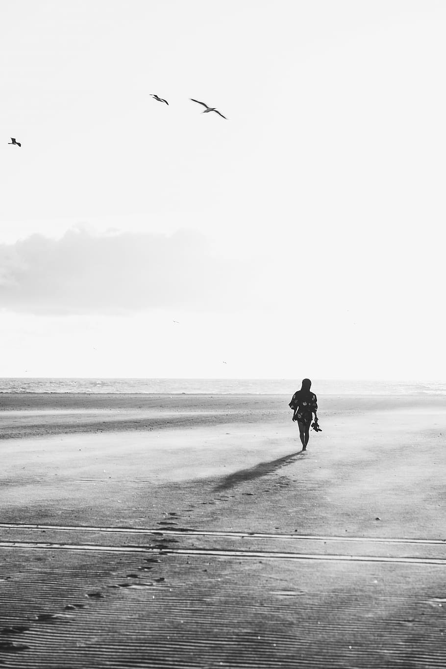 person, walking, sand, birds, flying, silhouette, sands, black and white, people, girl