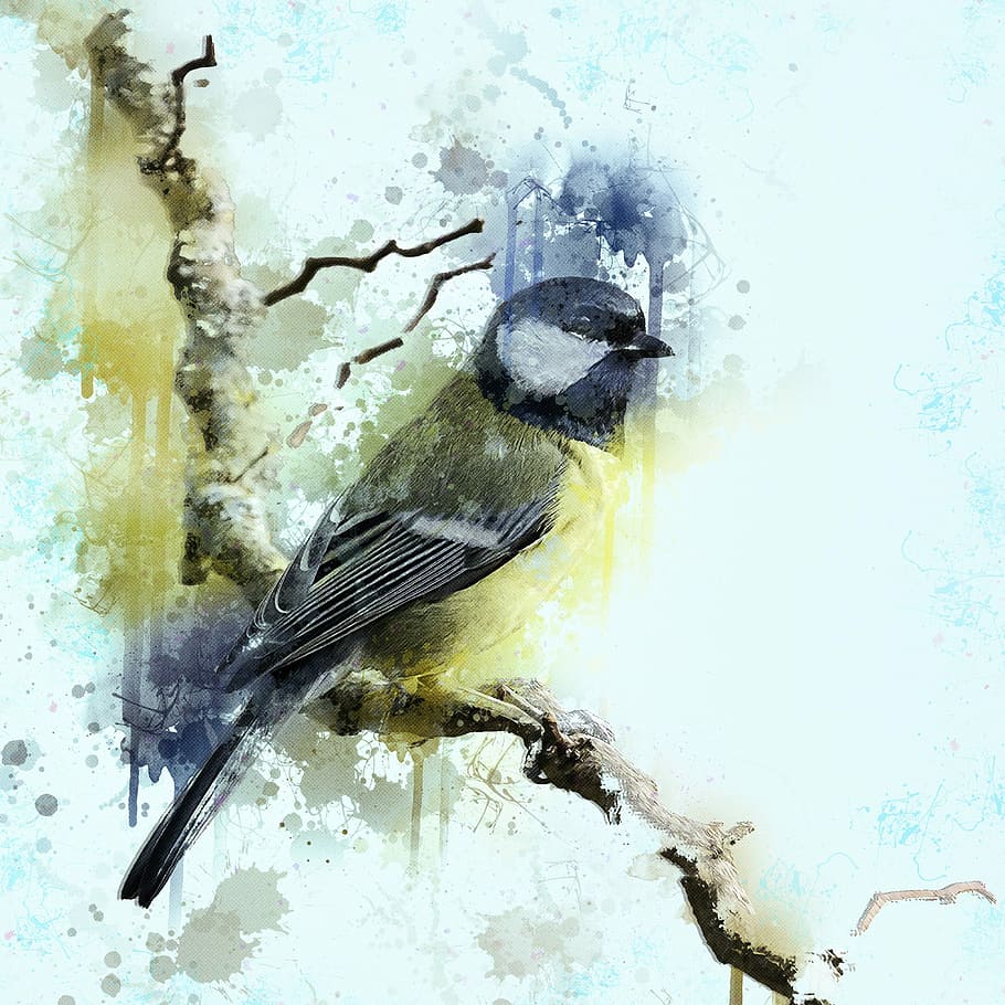 gray bird painting, great tit, tit, bird, animal, nature, wild animals, wildlife, feathers, wild animal