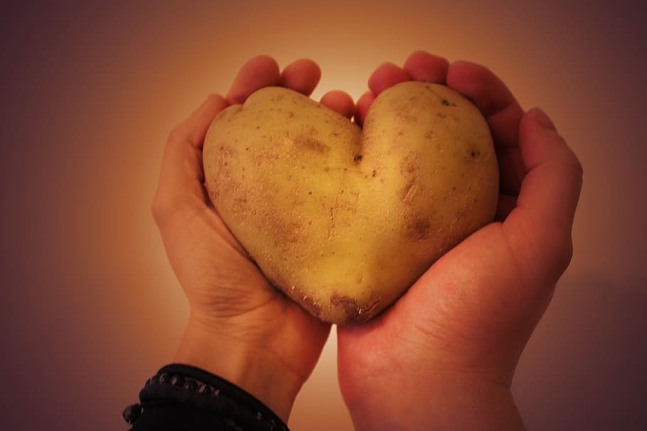 potato, heart, the two halves of, love, poland, hands, heart shape, human hand, human body part, positive emotion