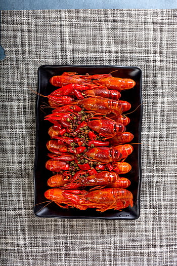 Royalty-free crayfish photos free download - Pxfuel