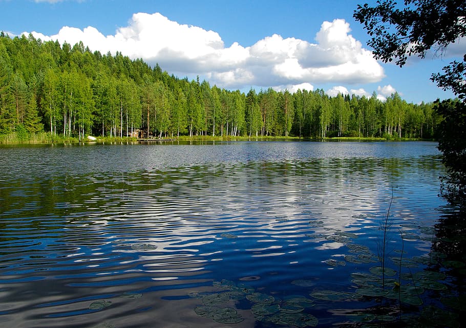 몸, 물, 나무, 핀란드, 호수, 숲, 식물, 자연의 아름다움, 경관-자연, 하늘