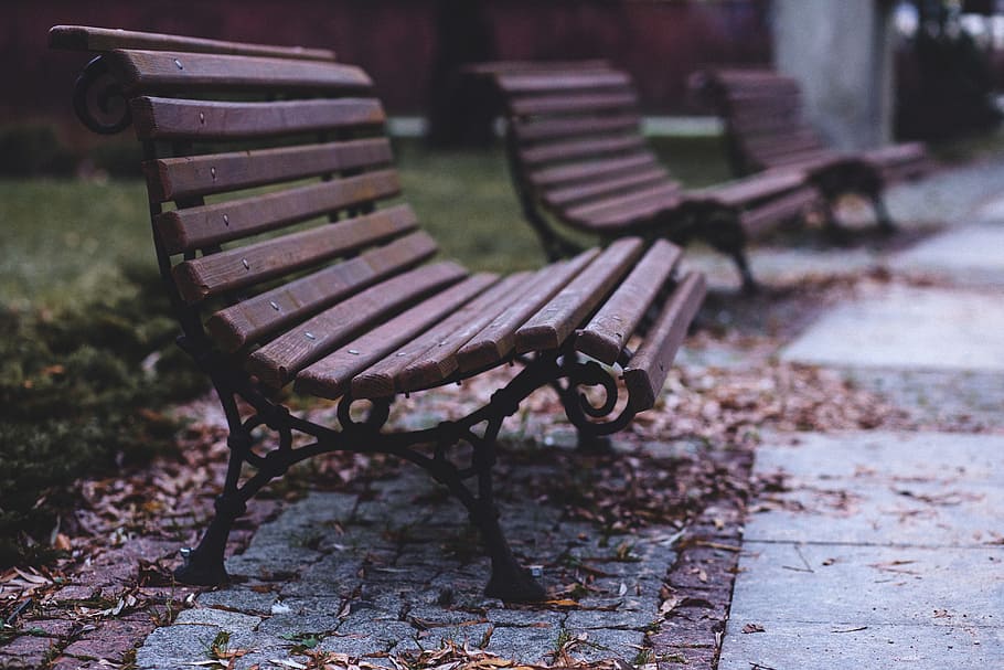 park, Empty, Benches, nature, bench, chair, outdoors, seat, no People, wood - Material