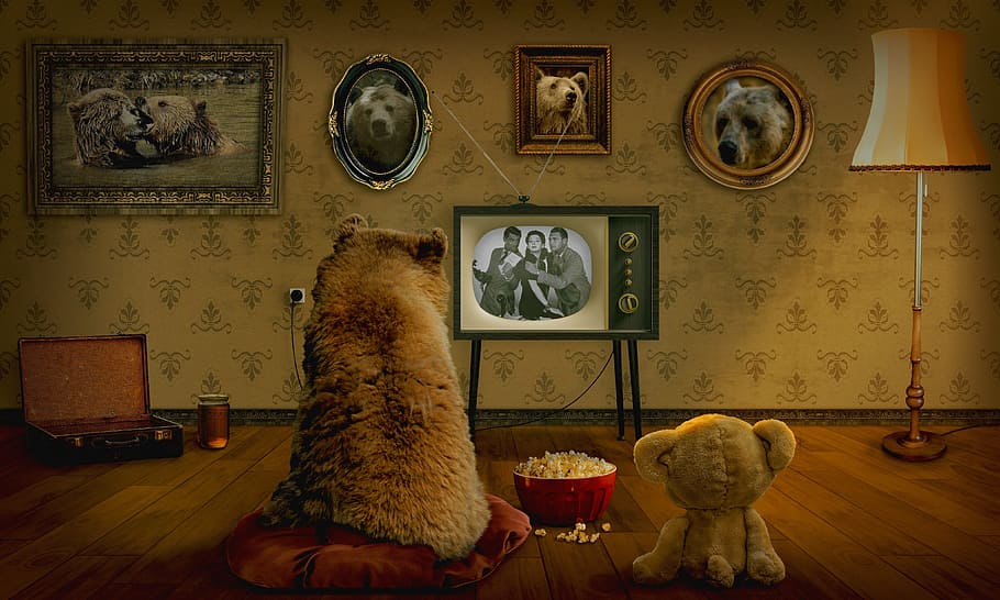 brown, bear, watching, black, crt tv, teddy, television, coziness, entertainment, popcorn