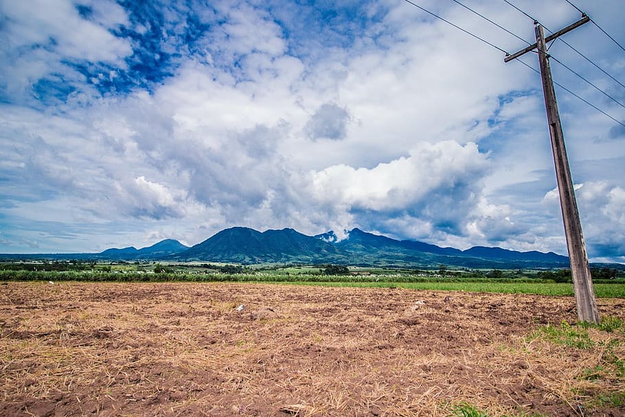 montaña, caña de azúcar, isla de negros, filipinas, cultivo, natural, cosecha, crecimiento, granja, paisaje