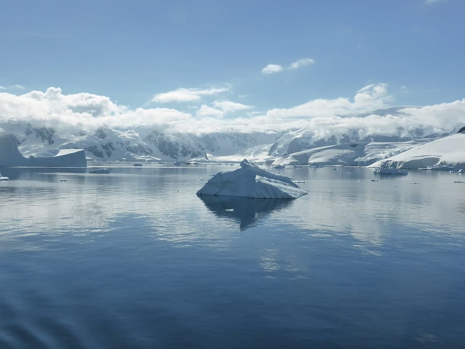 azul, cuerpo, agua, cuerpo de agua, icebergs, península antártica, océano austral, témpanos de hielo, hielo eterno, glaciar