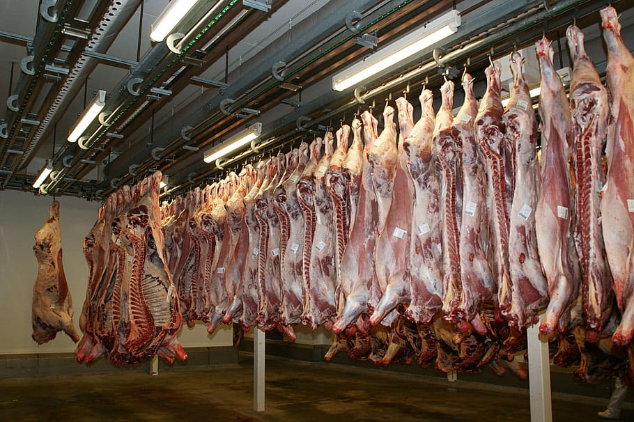 生, 絞首刑, フック, 肉, 牛肉, 肉屋, 食肉処理場, 吊り下げ, 飲食, 食品