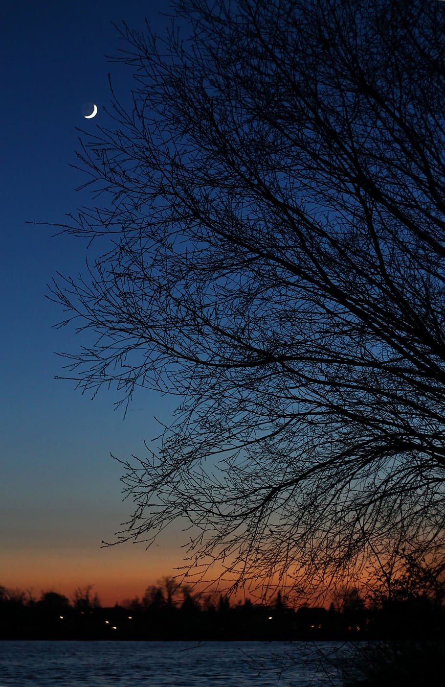 Sunset, Moon, Wood, Landscape, sky, blue, water edge, view, denmark, orange