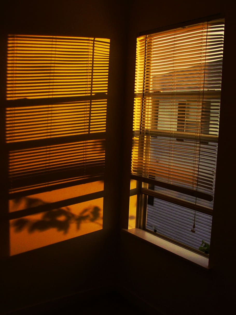 Sunset, Window, Sunlight, View, window view, warm, scenery, blinds, indoors, shutter