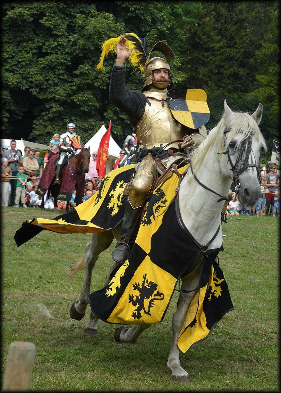 spectacular knight, knights, horses, lances, jousting tournament, medieval, fight, amsterdam, holland, horse