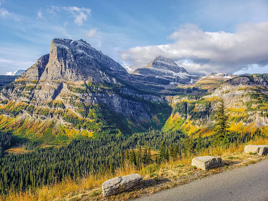 montañas, carretera, viajar, paisaje, al aire libre, salvaje, fauna, Montana, parque nacional, pinos
