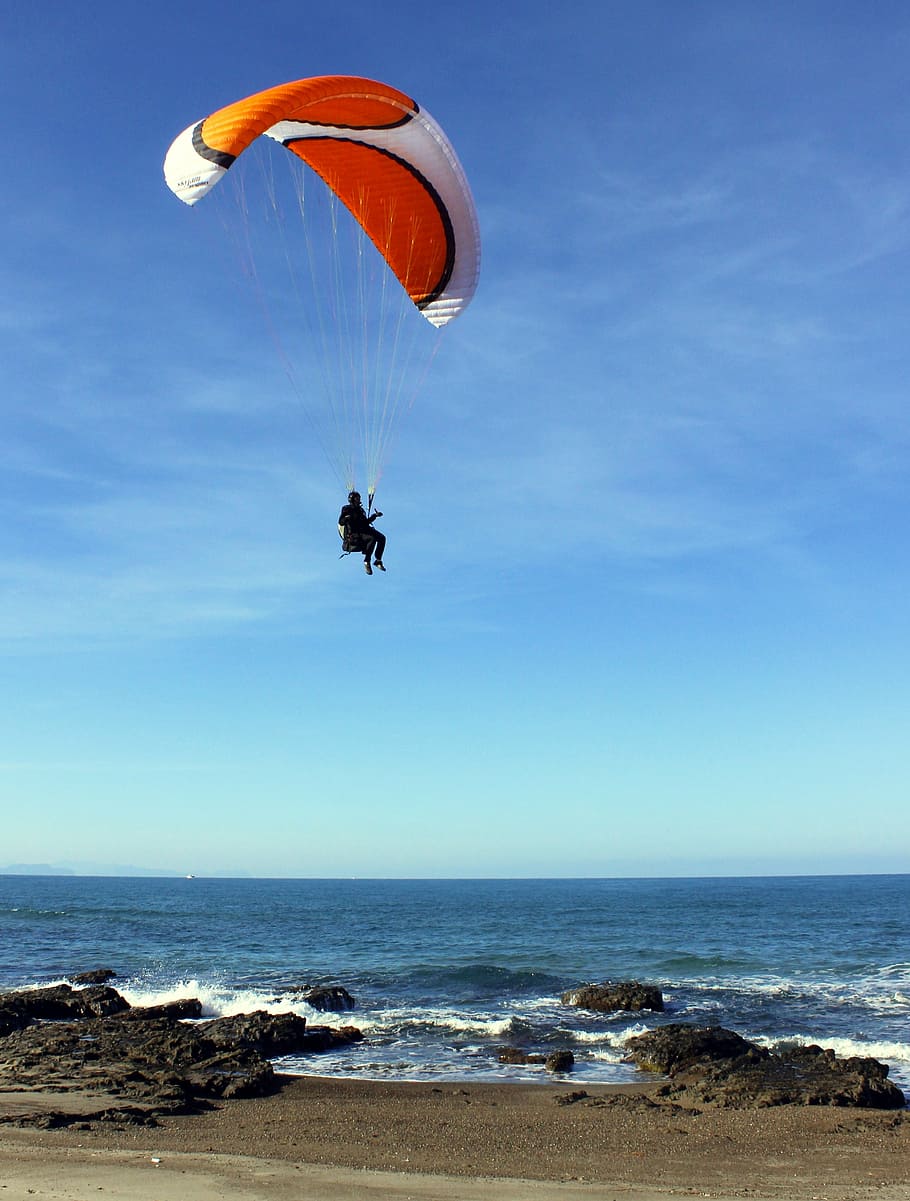 glider, paraglider, flying, paragliding, pilot, coast, blue, hobby, dom, joy