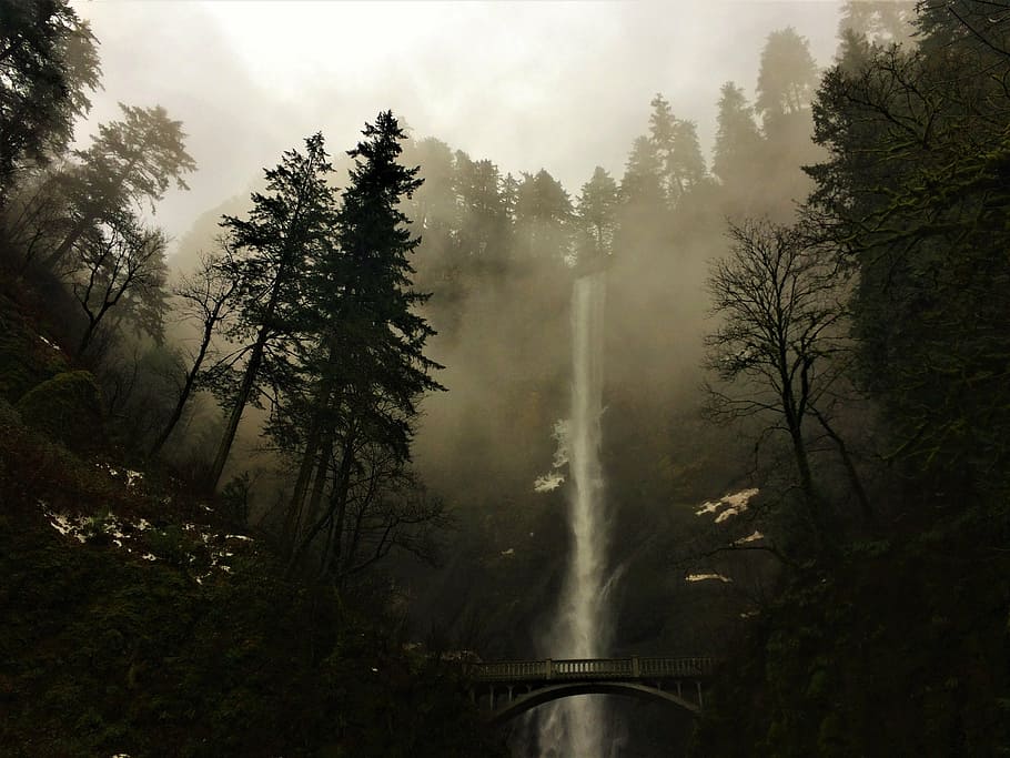 multnomah, oregon, misty, waterfall, river, landscape, outdoor, nature, falls, natural