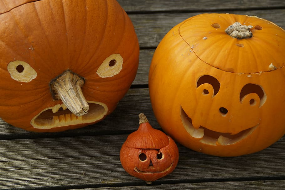 pumpkins, three, halloween, family, cheeky, autumn, face, carve pumpkin ghost, fash, pumpkin face | Pxfuel