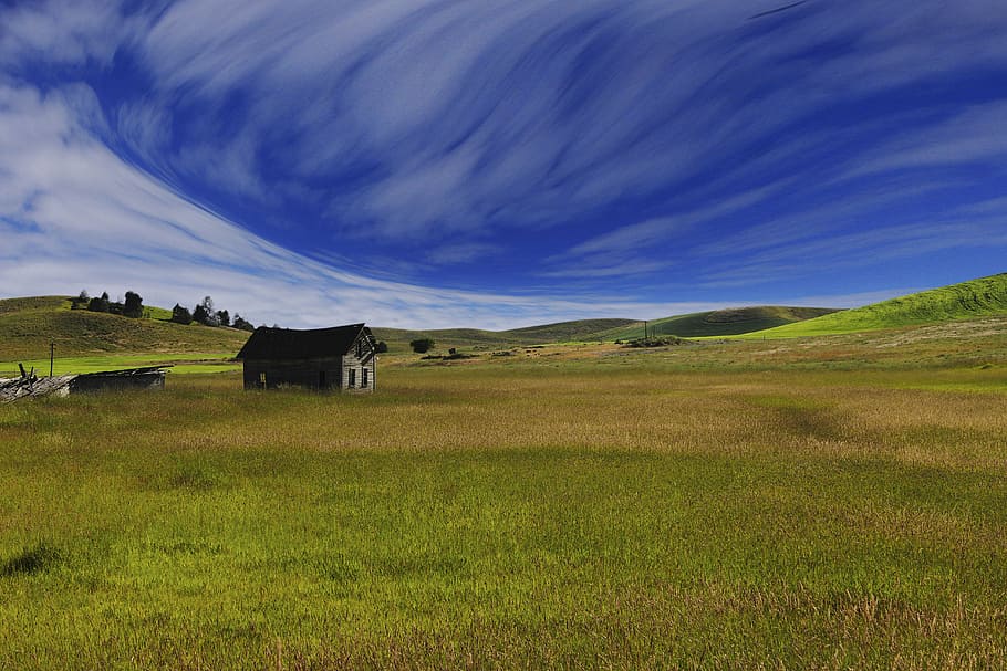 brown, wooden, house, green, grass field, blue, sky, daytime, nature, landscape