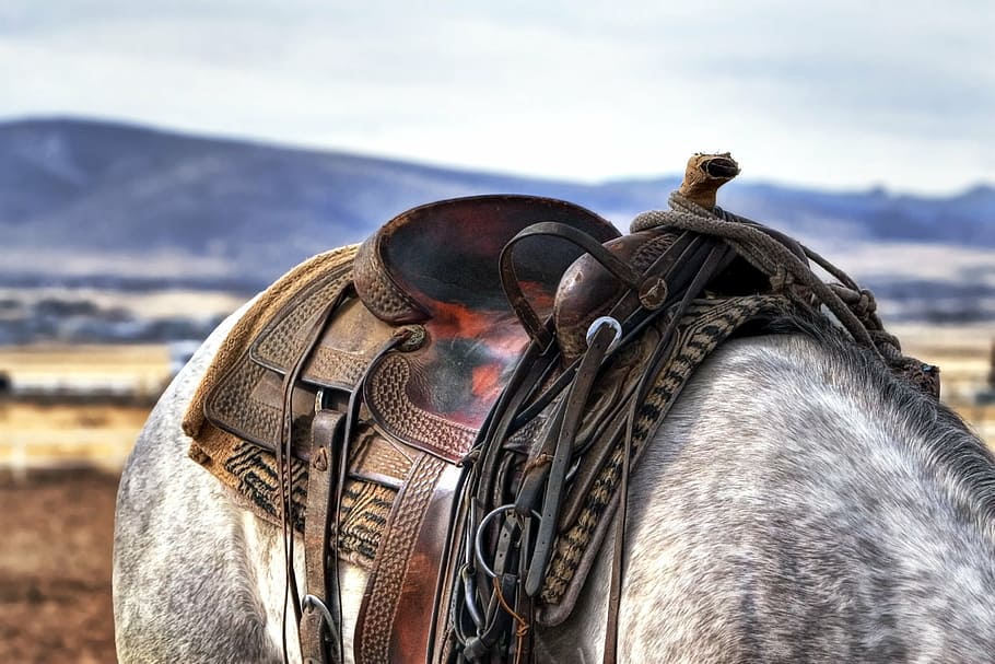 brown, leather horse saddle, saddle, horse, cowboy, western, country, animal, farm, rancher
