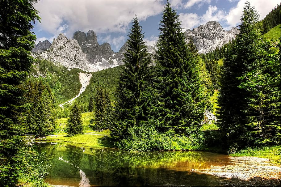 green, pinetree, body, water, almsee, schladming, lake, nature, landscape, mountains