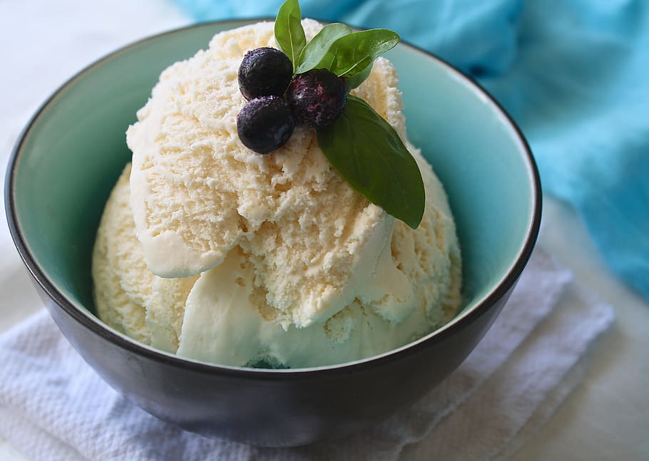 vanilla flavor ice cream, berry, top, black, teal, ceramic, bowl, ice cream, fruit, blueberry