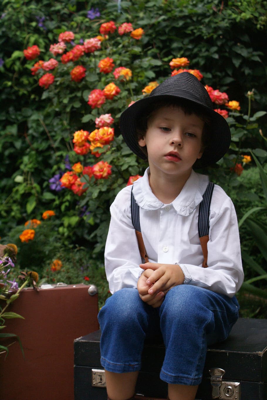 garden, roses, boy, suitcase, hat, braces, story, illustration, rose, summer flowers