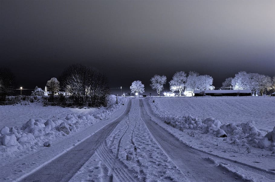 눈 덮인 도로, 겨울, 눈, 감기, 얼음, 서리, 아무도, 날씨, 도로, 자연
