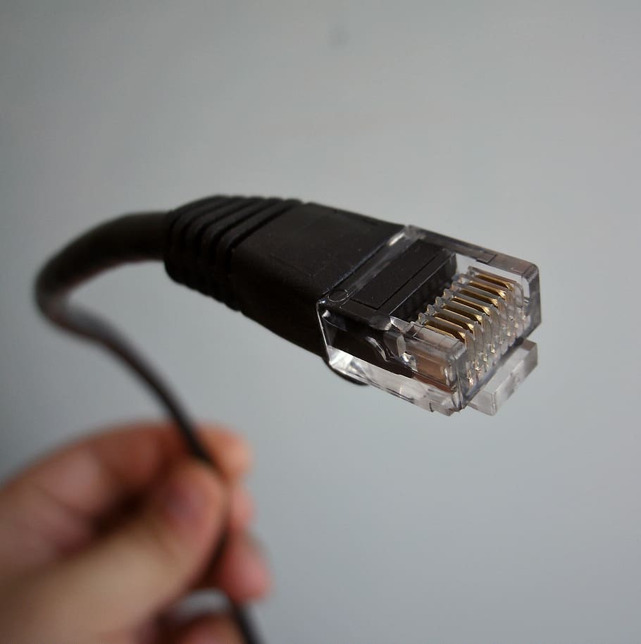 black ethernet cable, ethernet, network cable, networking, business, communication, human hand, hand, studio shot, indoors