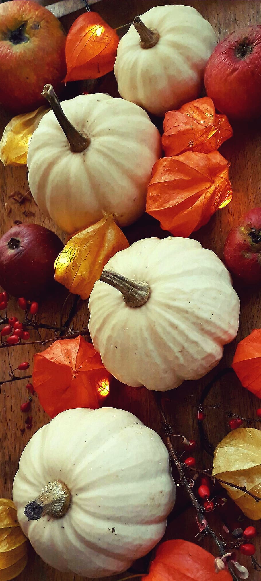 pumpkin, physalis, apple, barberry, decoration, autumn, light, illuminated, halloween, baby boo