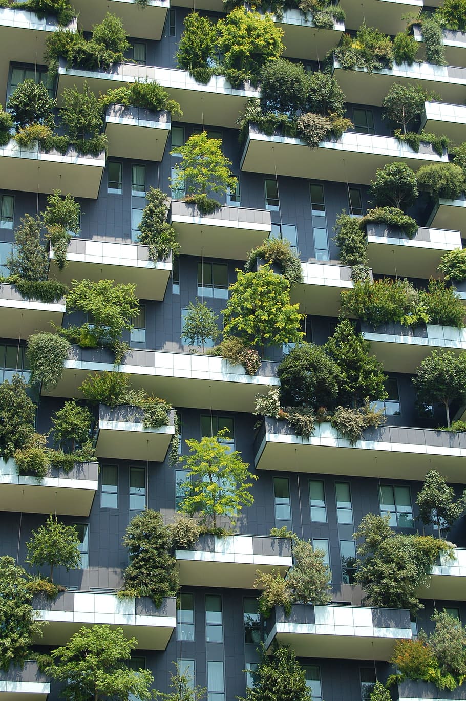 tanaman berdaun hijau, arsitektur, bangunan, arsitektur hijau, bertingkat tinggi, modern, pola, tanaman, jendela, eksterior bangunan