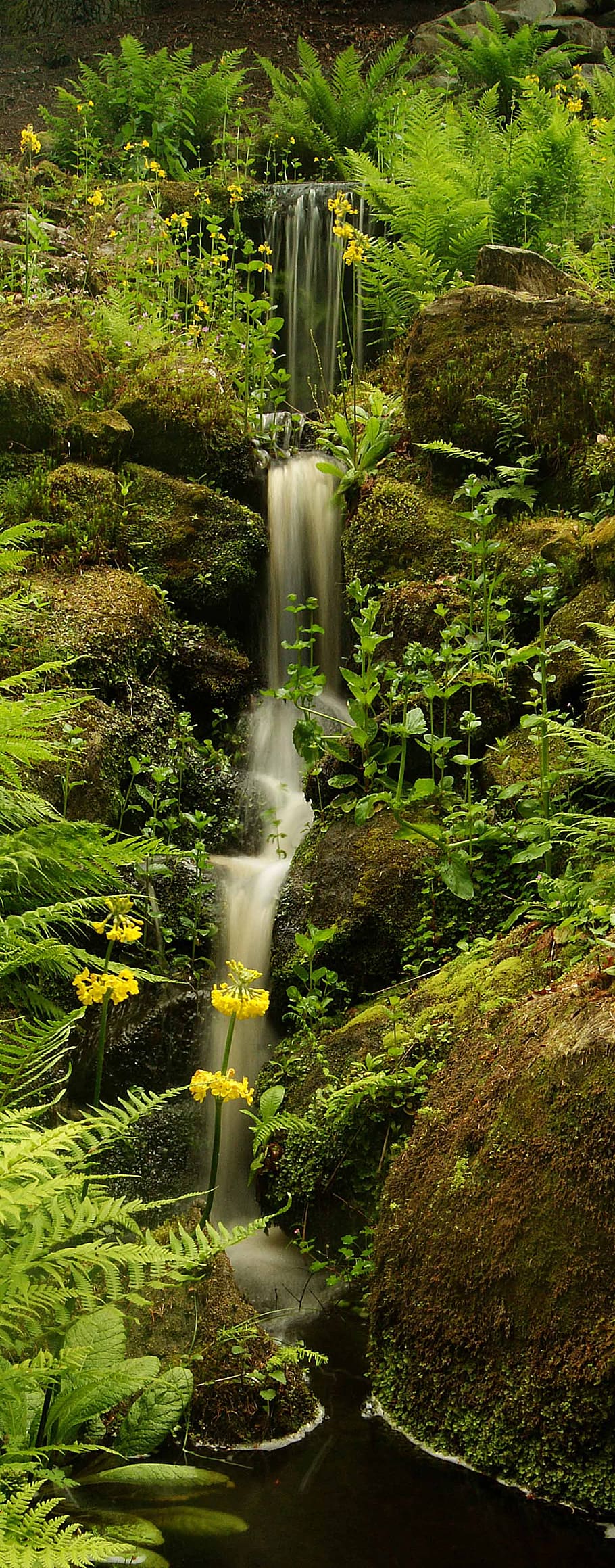 A cascata, cachoeiras durante o dia, agua, movimento, movimento borrado, plantar, beleza da natureza, paisagens - natureza, longa exposição, natureza