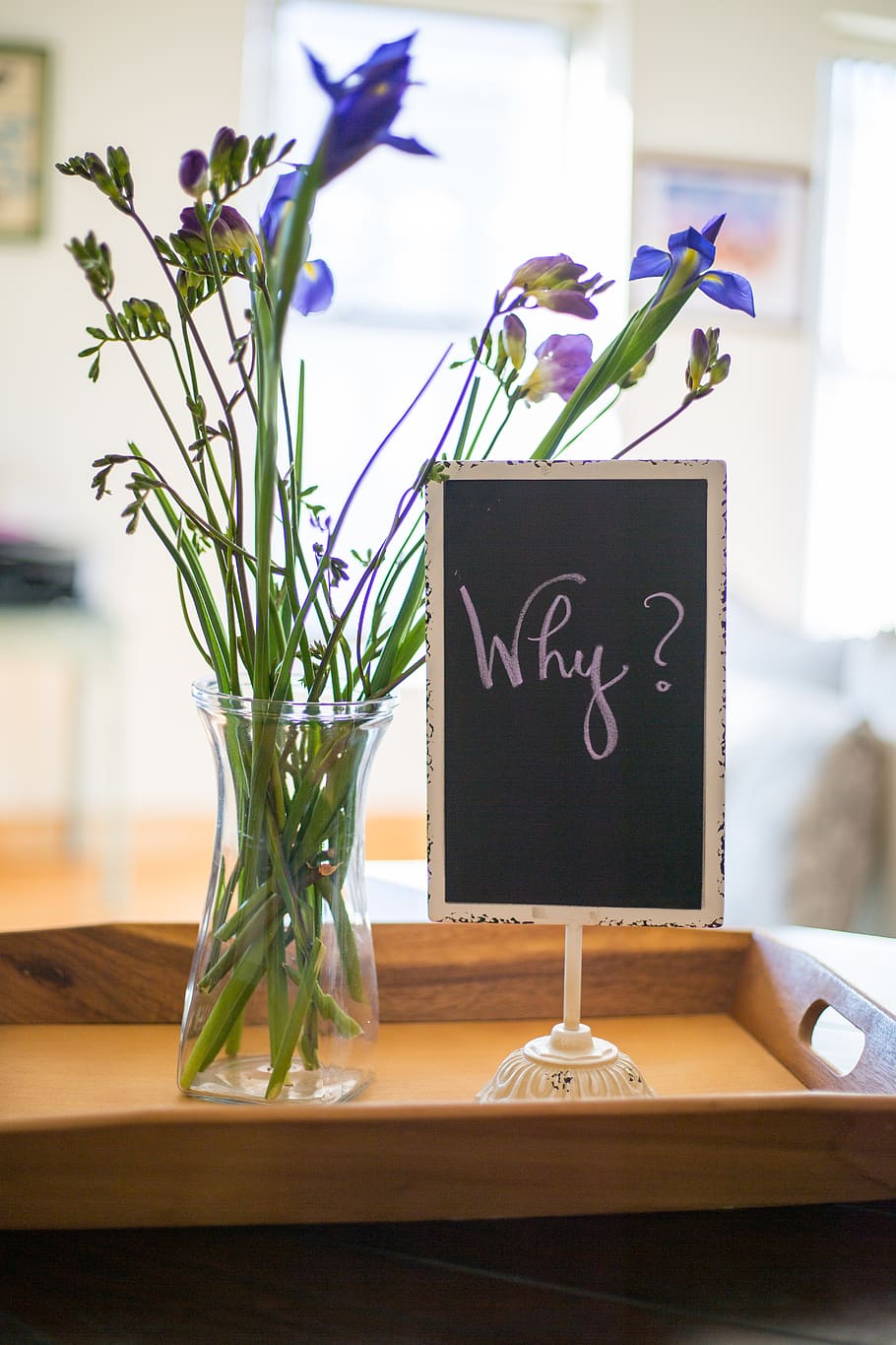 words, sign, text, signage, flowers, vase, reason, business, concept, curiosity