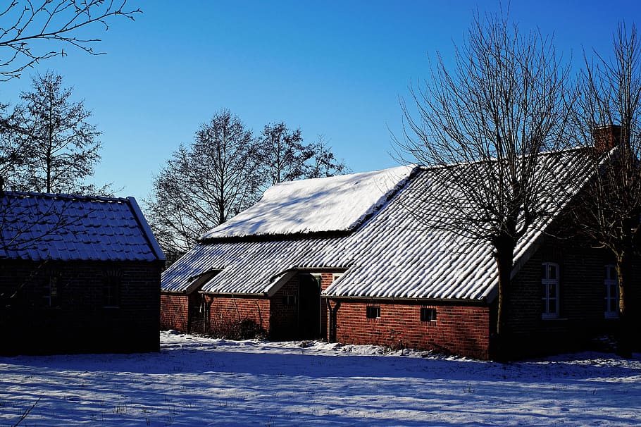 fehnhaus, east frisia, winter, snow, historic preservation, old fehnhaus, door rear, gable, thatched cover, sky