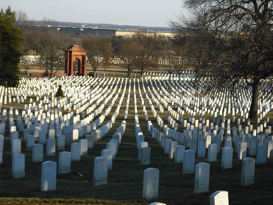 Arlington, nacional, cementerio, cementerio nacional de Arlington, Washington DC, militar, en una fila, memorial, lápida, al aire libre