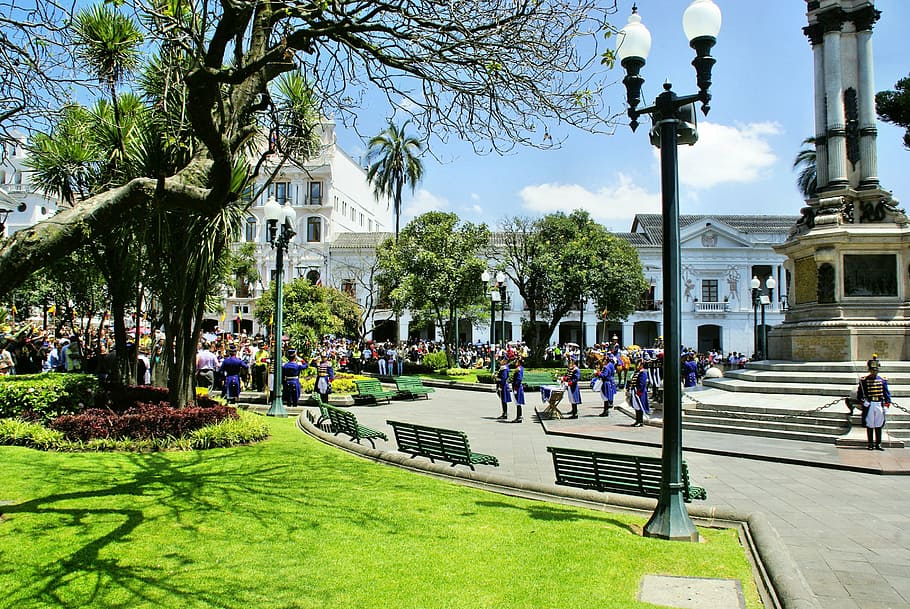 quito, national holiday, presidential palace, tree, group of people, plant, architecture, crowd, built structure, large group of people
