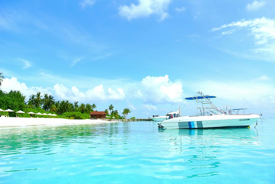 sailboat on beach, maldives, coconut tree, sea, resort, summer, holiday, sky, ocean, beach