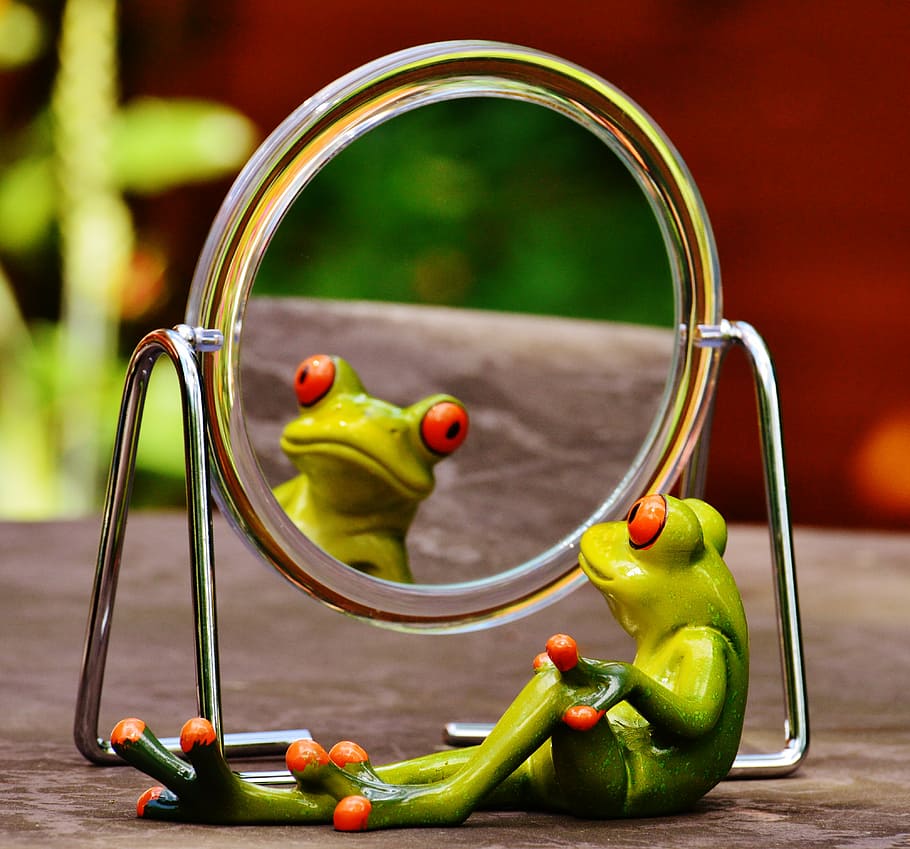 green, frog, looking, mirror, mirror image, mirroring, cute, funny, fun, figure