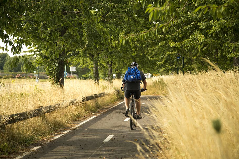 man, riding, bicycle, green, trees, daytime, Chandler, Motion, Bike, Qi