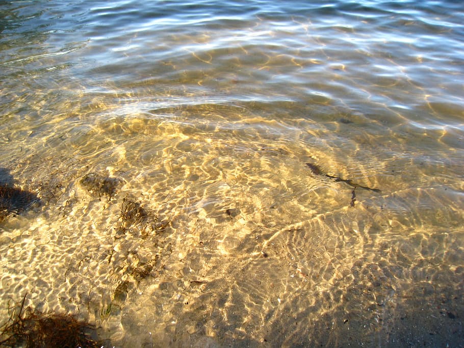 Water, Sea, Seawater, Beach, Spray, Wave, water reflections, water reflection, shallow waters, sparkling water
