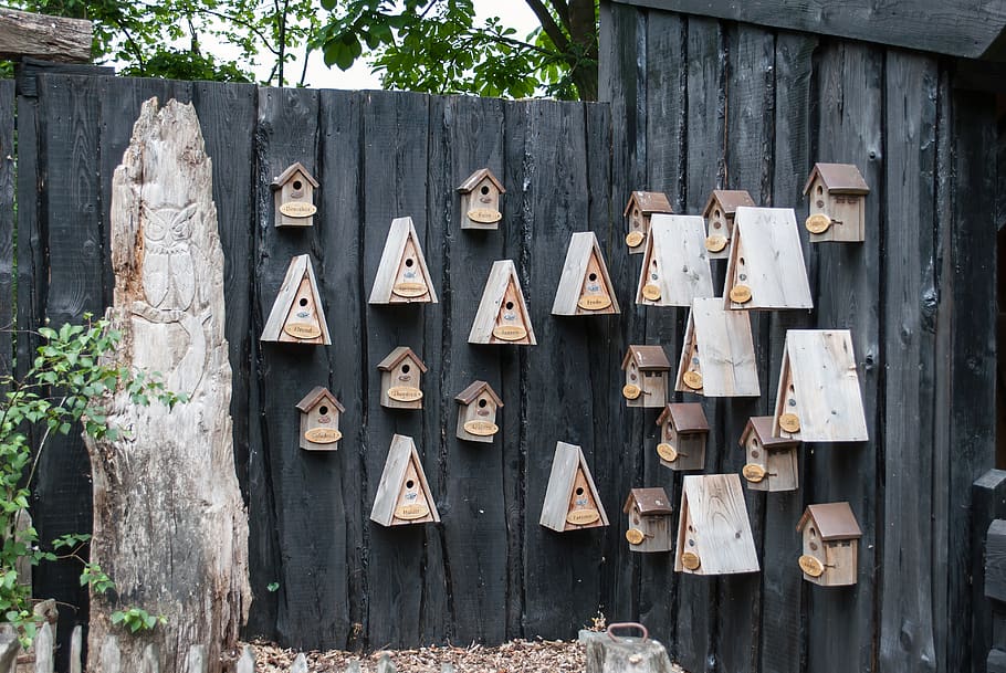 birdhouse-nest-boxes-wood-bird-cage-bird-houses-fence-outdoor.jpg