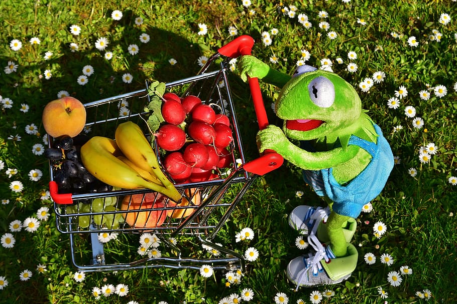 keropi, frog, plush, toy, pushing, cart, Kermit, Shopping Cart, Healthy, healthy shopping