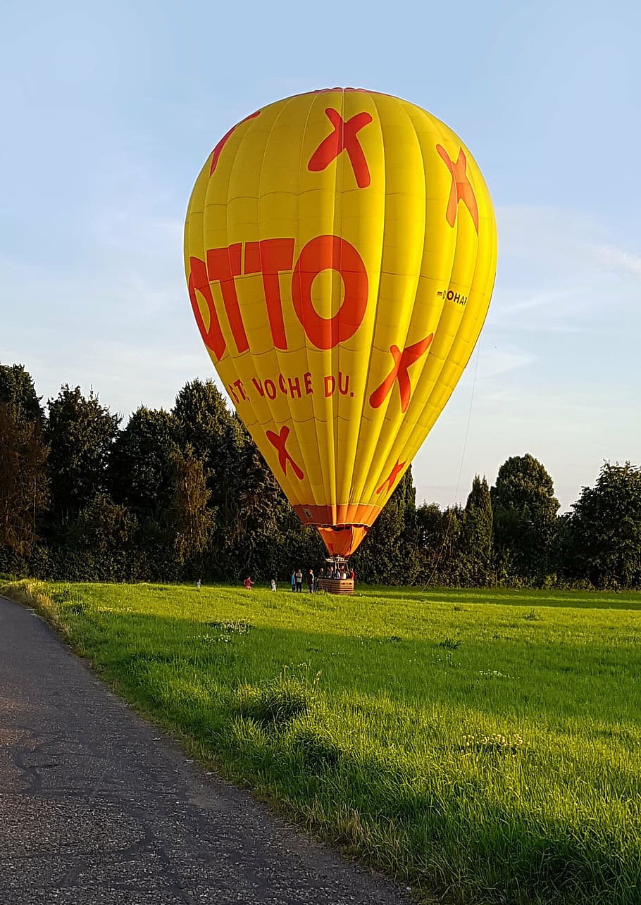 balloon, hot air balloon ride, landed, field, forest, away, yellow, sky, sleeve, neuwied