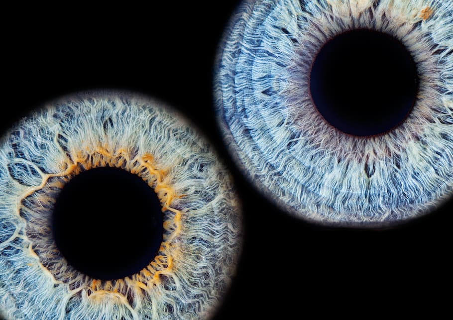 dua lensa mata, iris, mata, makro, mata hitam, penglihatan, iris - mata, mata manusia, persepsi sensorik, bagian tubuh