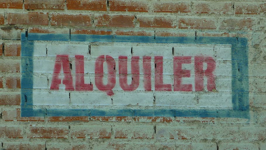 alquiler text, brick wall, for rent, income, supply, wall, ad, announce, lease, bricks