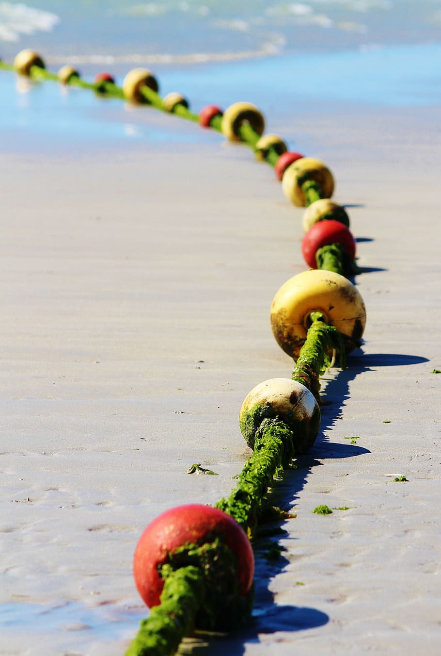 shallow, focus photography, multicolored, rope floaters, anchor chain, sea, beach, balls, dew, seaweed