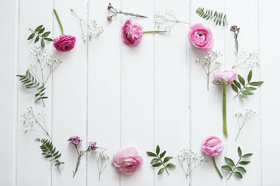 pink, roses, white, surface, flowers, background, nature, wood - Material, backgrounds, decoration