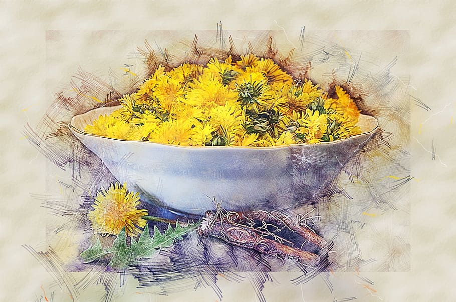 yellow, flowers, bowl painting, dandelion, health, salad, recipe, the root of the, still life, plant