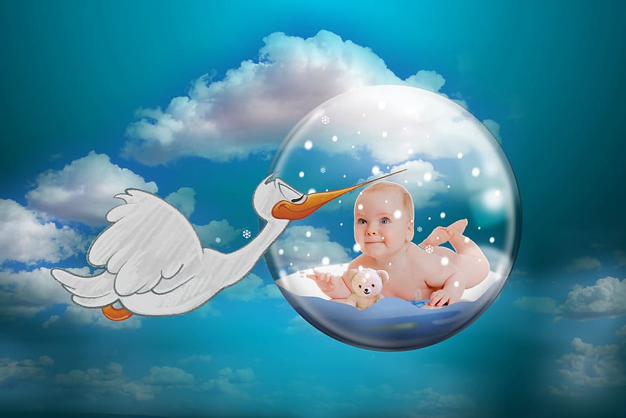 baby, inside, bubble, stork illustration, stork, rattle stork, fertility, storks, children, daughter