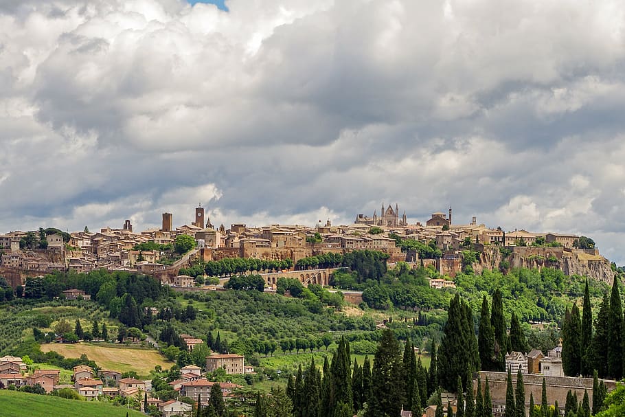 aerial, buildings, green, tree, orvieto, medieval town, umbria, italy, middle ages, landscape