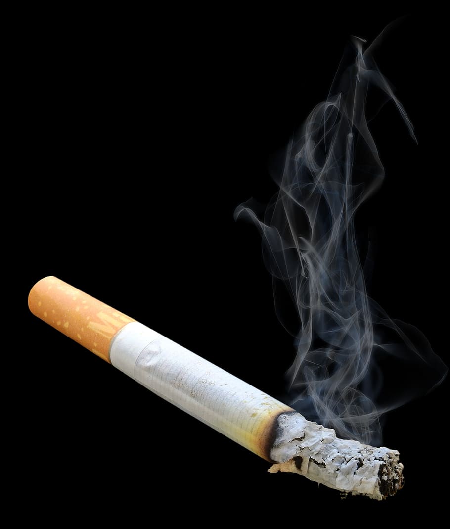 cigarro, fumo, fumaça, cinza, vício, insalubre, fumaça - estrutura física, questões relacionadas ao fumo, questões sociais, sinal de alerta