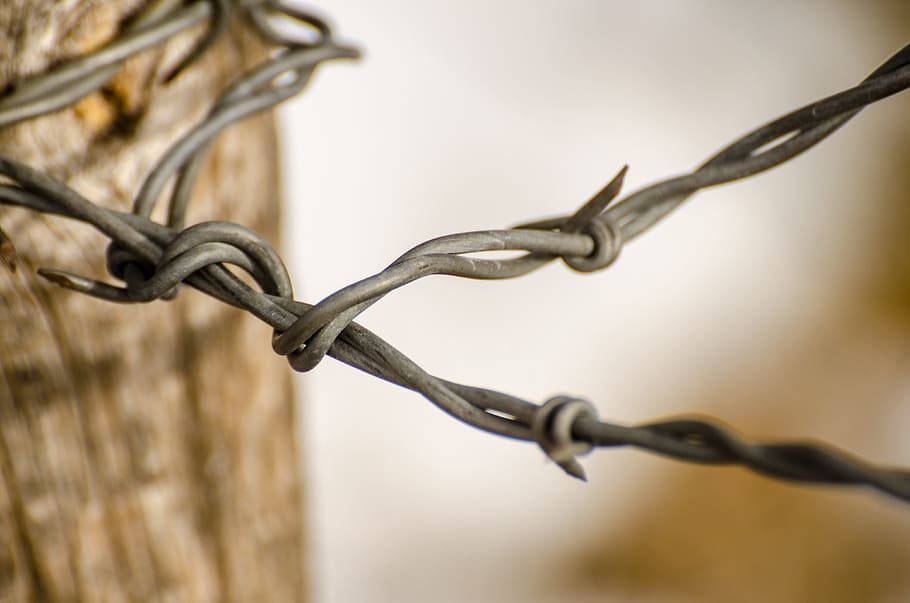 close-up photo, gray, barb wire, wire, fence, barbed wire, ranch, rustic, barbed, protection