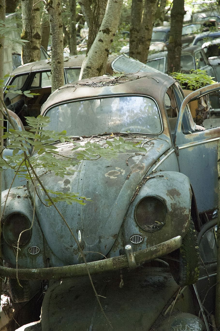 Auto, Car, Cemetery, Oldtimer, Stainless, car cemetery, stainless karre, junkyard, scrap car, nostalgia